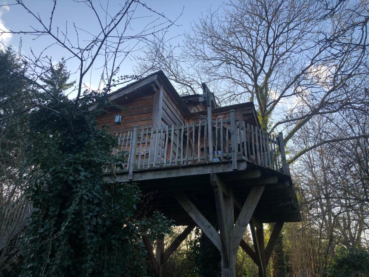 Chambres D'Hotes De La Vallee Javot Féricy Exteriör bild
